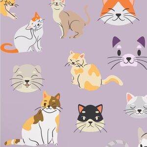 Meet your Posher, Dentin